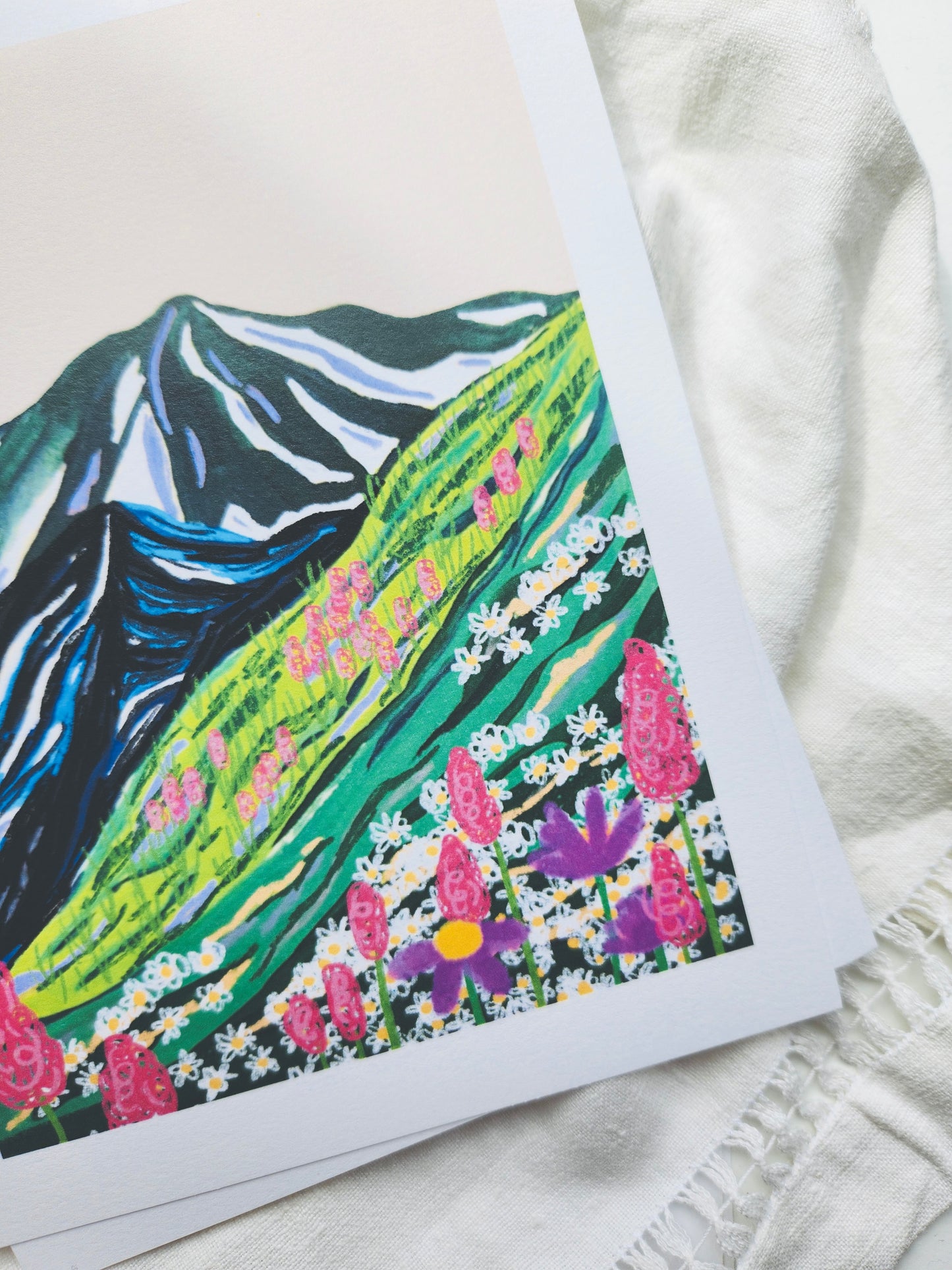 Mt Rainier National Park Art Print