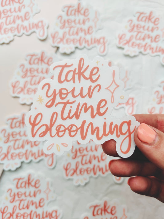 Take Your Time Calligraphy Vinyl Sticker - Clear